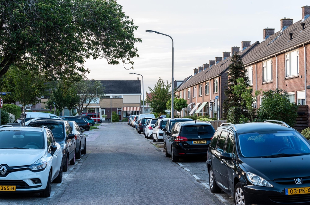 Lightronics Prunus E4 armaturen langs een straat in een woonwijk in Oud Beijerland