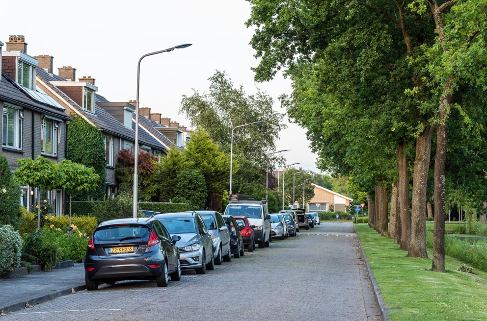 Lightronics Prunus E4 armaturen langs een straat in een woonwijk in Oud Beijerland