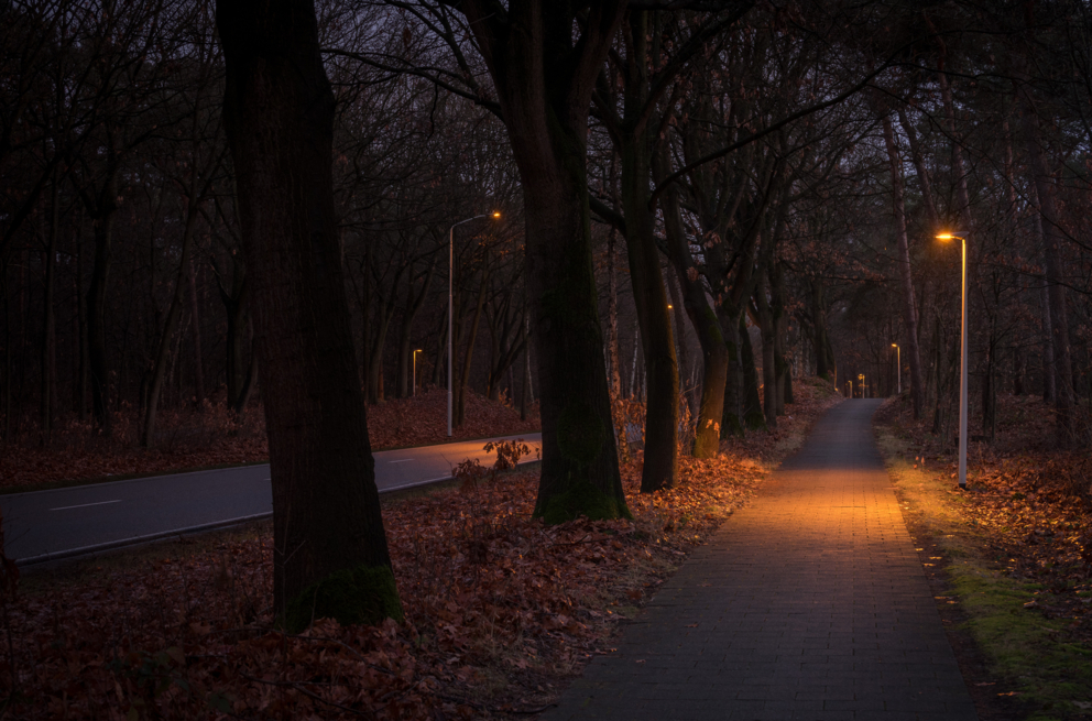 Lightronics BRISA BAT armaturen langs het erftoegangsweg en het fietspad aan de Herselseweg in Lierop