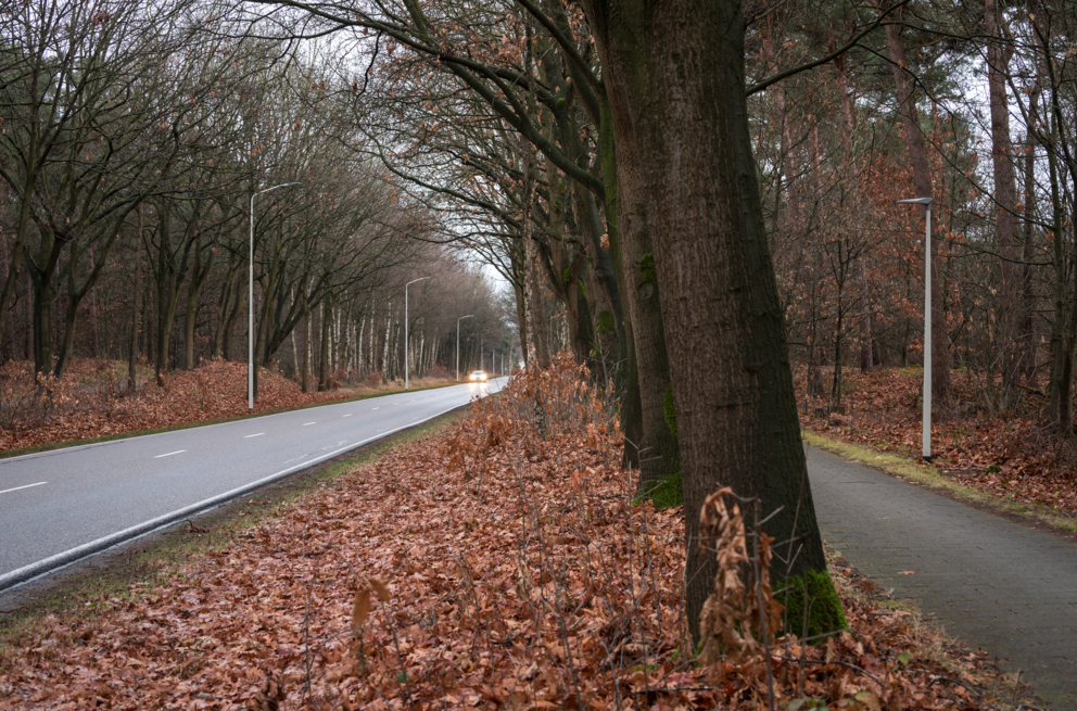 Lightronics BRISA BAT armaturen langs het erftoegangsweg en het fietspad aan de Herselseweg in Lierop