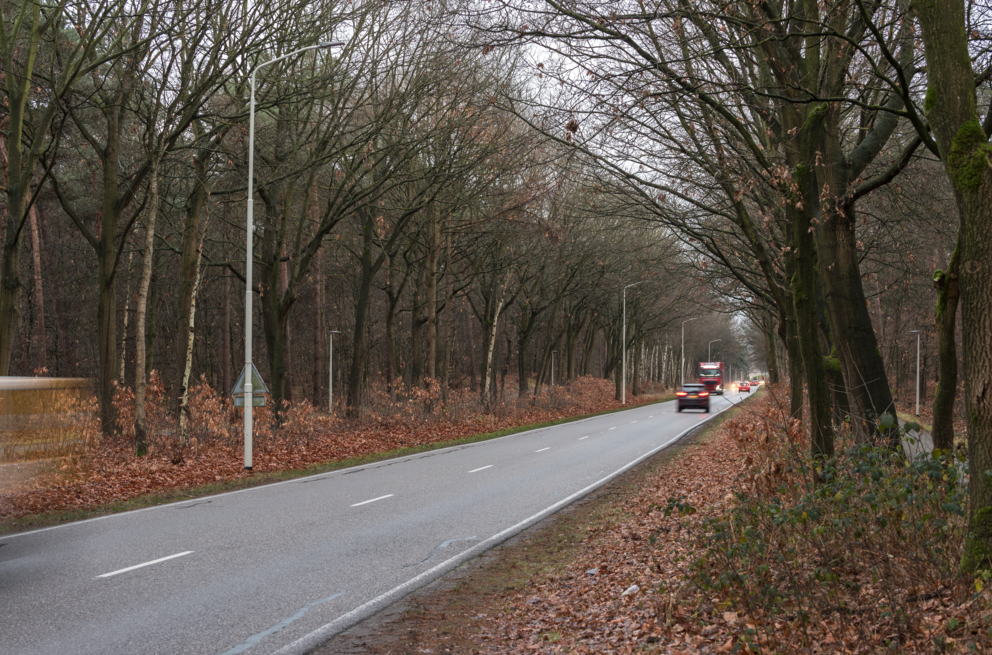 Lightronics BRISA BAT armaturen langs het erftoegangsweg en het fietspad aan de Herselseweg in Lierop