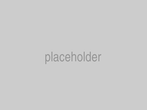 palceholder