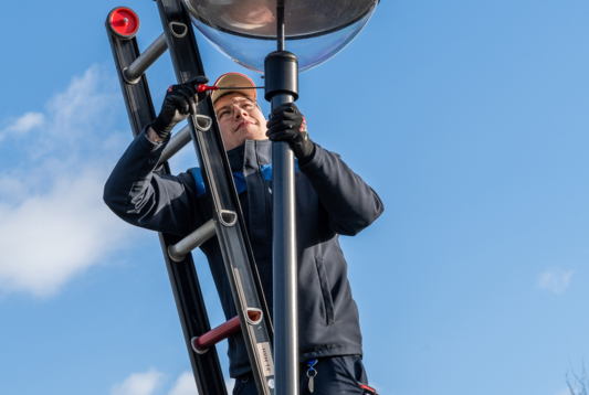 240-2024-Klein-Oisterwijk-Prunus-036