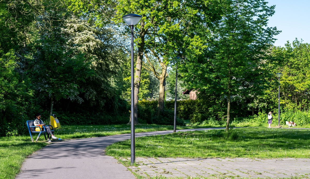 240_2021_Fabritiuspark_Heerhugowaard_CEDER_A2-005 - lowres