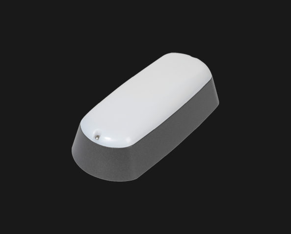 Lightronics rink rink